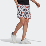 Adidas originals Artist Shorts