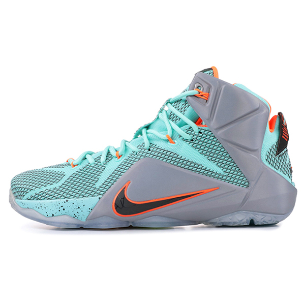 Nike Lebron 12 NSRL