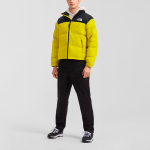 THE NORTH FACE 1996 Retro Nuptse 700