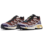 Salomon XT-6