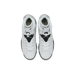 Jordan Air Jordan 6 “Alligator”