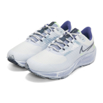 Nike Pegasus 38