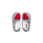 Jordan Air Jordan 3 Retro SE