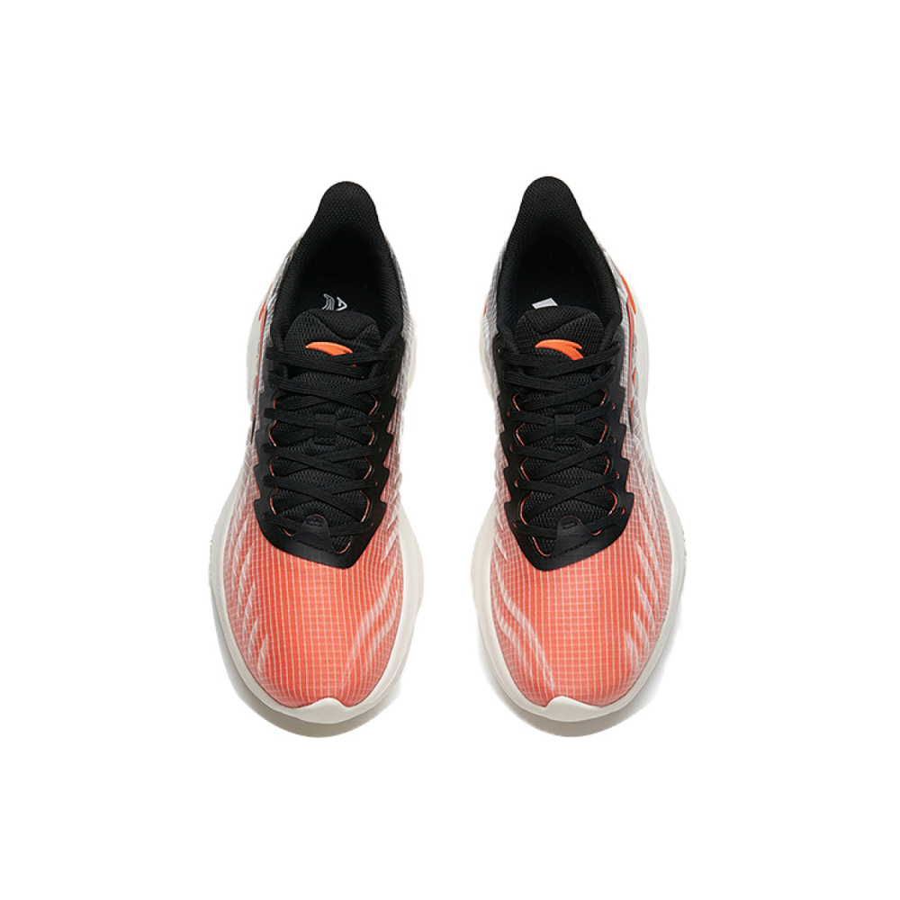 Anta 1