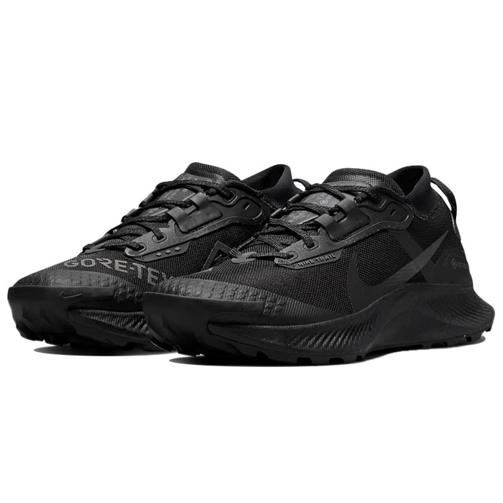 Nike Pegasus Trail 3 GTX