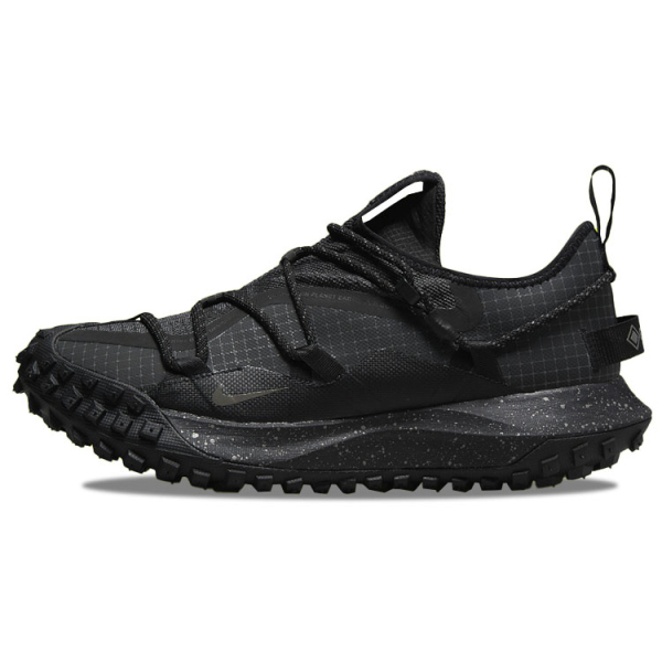 Nike ACG Mountain Fly Low GTX SE