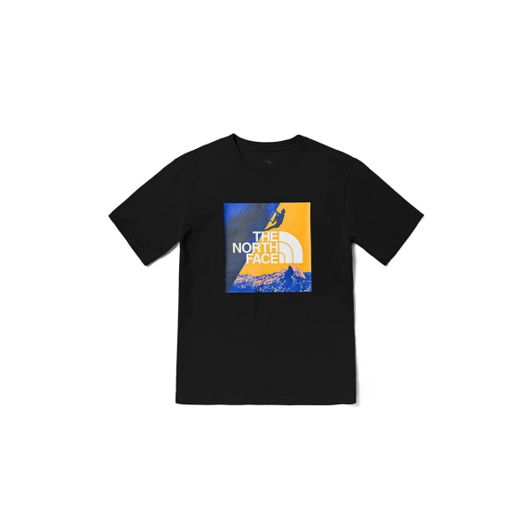 THE NORTH FACE Logo T