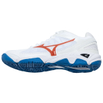 Mizuno