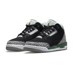 Jordan Air Jordan 3 Pine Green