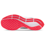 Nike Pegasus 36 Shield 36