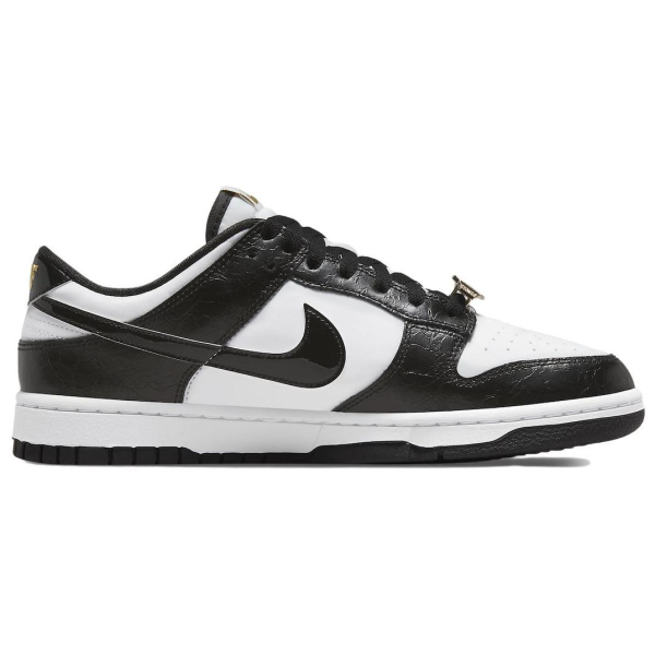 Nike Dunk retro se "world champ"