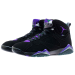 Jordan Air Jordan 7 Ray Allen