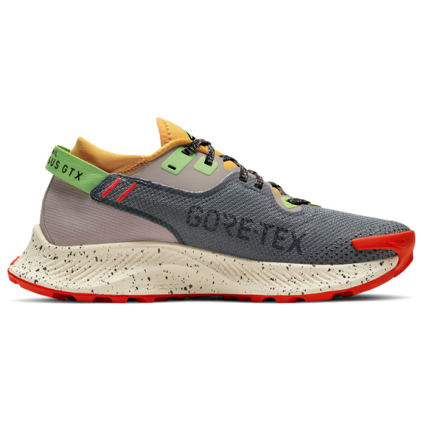 Nike Pegasus Trail 2 GTX