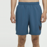Nike Flex Logo