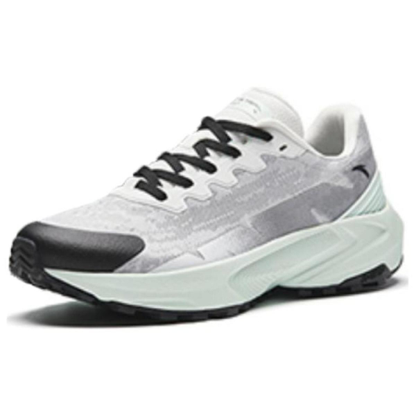 Anta