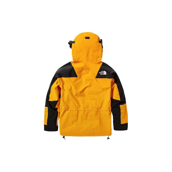THE NORTH FACE Retro Mountain Light Futurelight