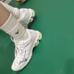 Mizuno Wave Voltage