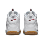 Nike Foamposite Pro Air White Gucci