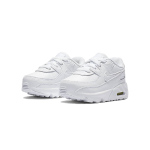 Nike Air Max 90 LTR