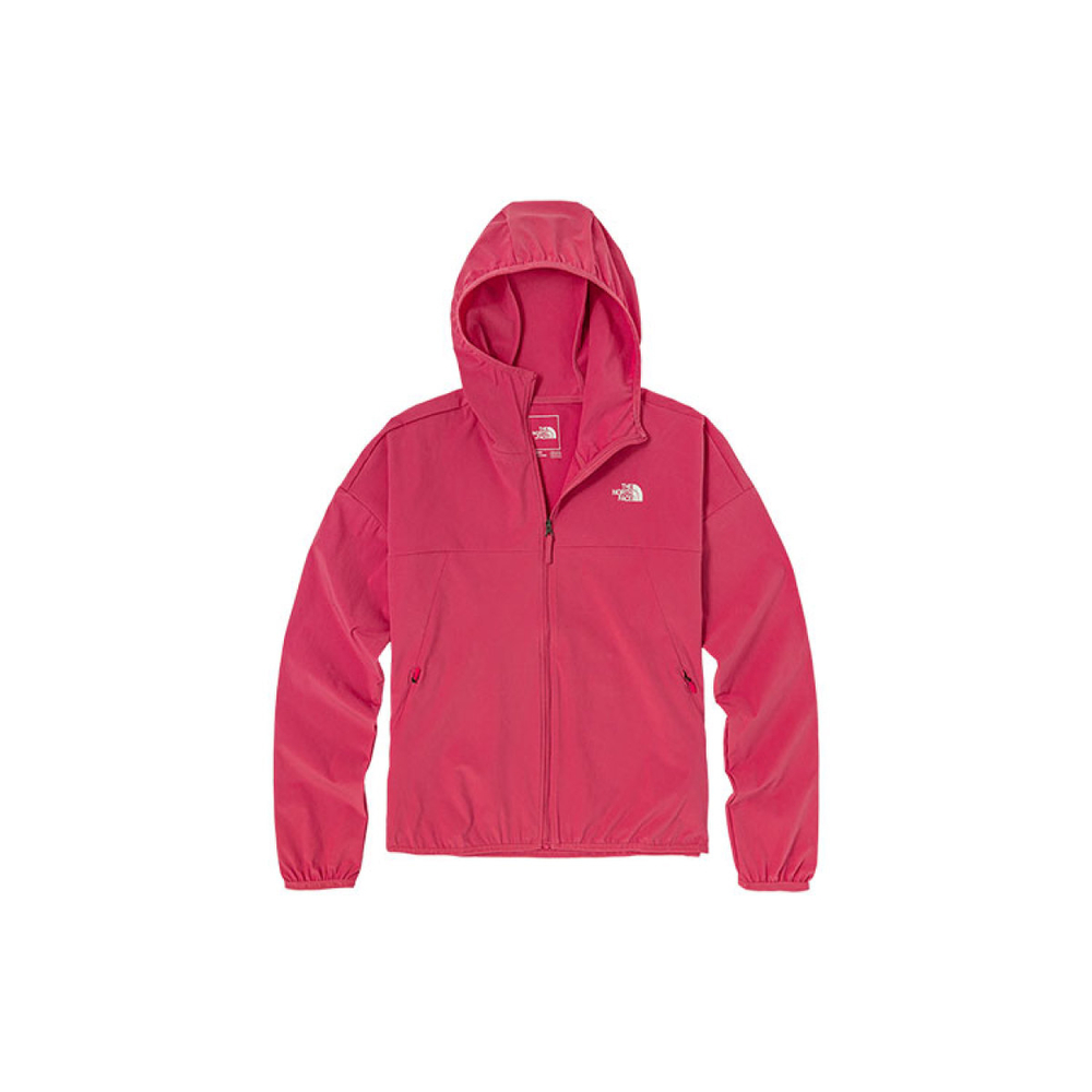 THE NORTH FACE log