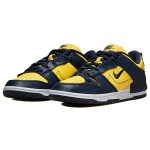 Nike Dunk Disrupt 2