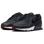 Nike Air Max 90 "Black Bordeaux"