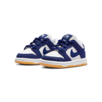 Nike Dunk SB Pro