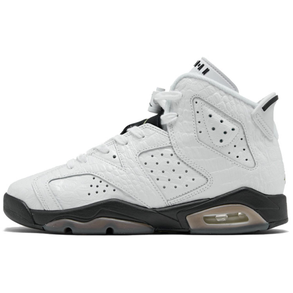 Jordan Air Jordan 6 “Alligator”