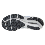 Mizuno Wave Rider 24