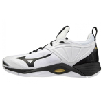 Mizuno Wave Momentum 2