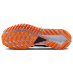 Nike Pegasus Trail 4 GORE-TEX