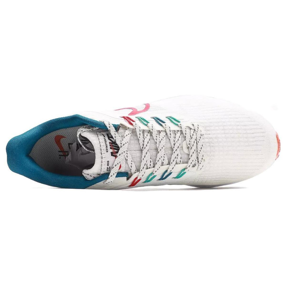 Nike Air Zoom Pegasus 39