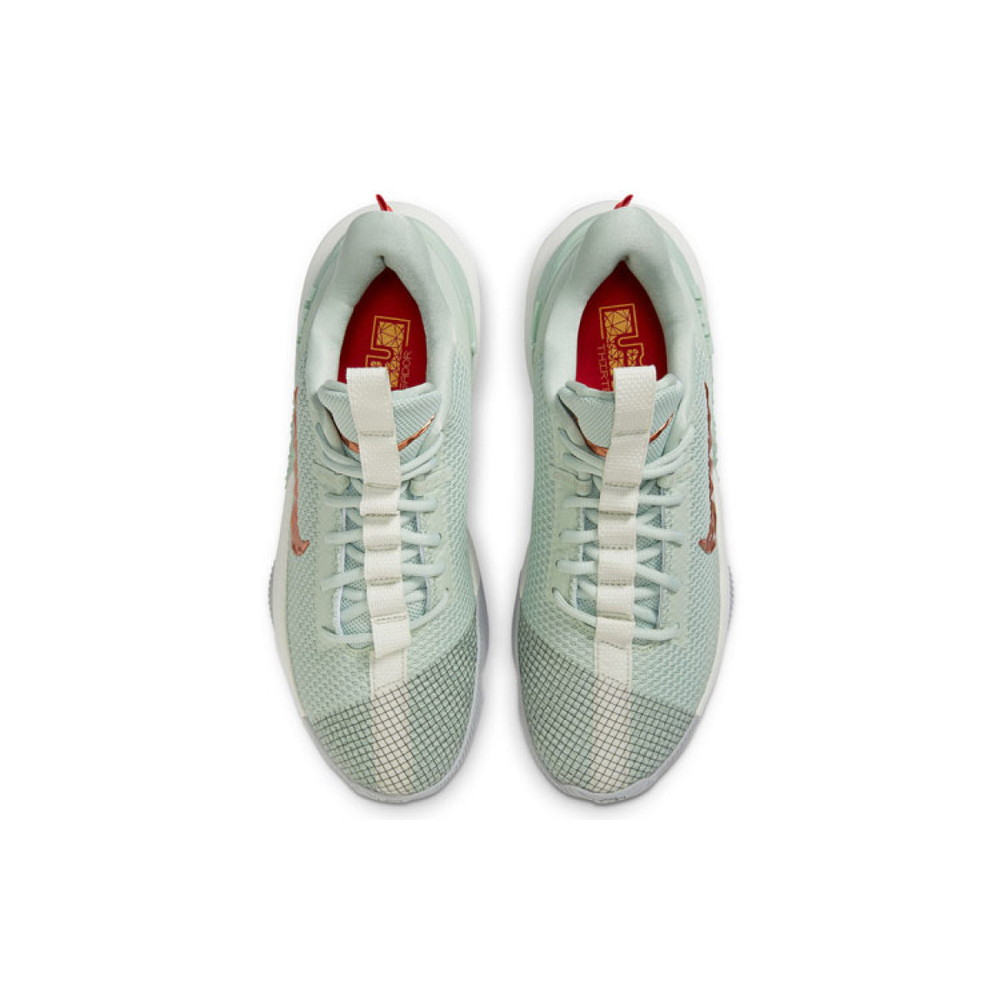 Nike Ambassador 13 TPU
