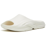 Anta