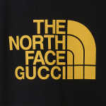 GUCCI x /THE NORTH FACE Logo T
