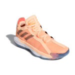 Adidas D lillard 6