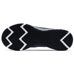 Nike REVOLUTION 5