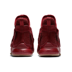 Nike zoom soldier 12 LeBron