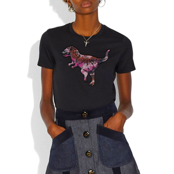 COACH x · /Keith Haring T