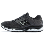 Mizuno Paradox 5