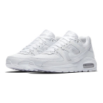 Nike Air Max Command Flex