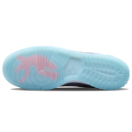 Union x Nike Dunk Low Argon