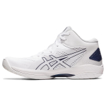 Asics Gel-Hoop V15