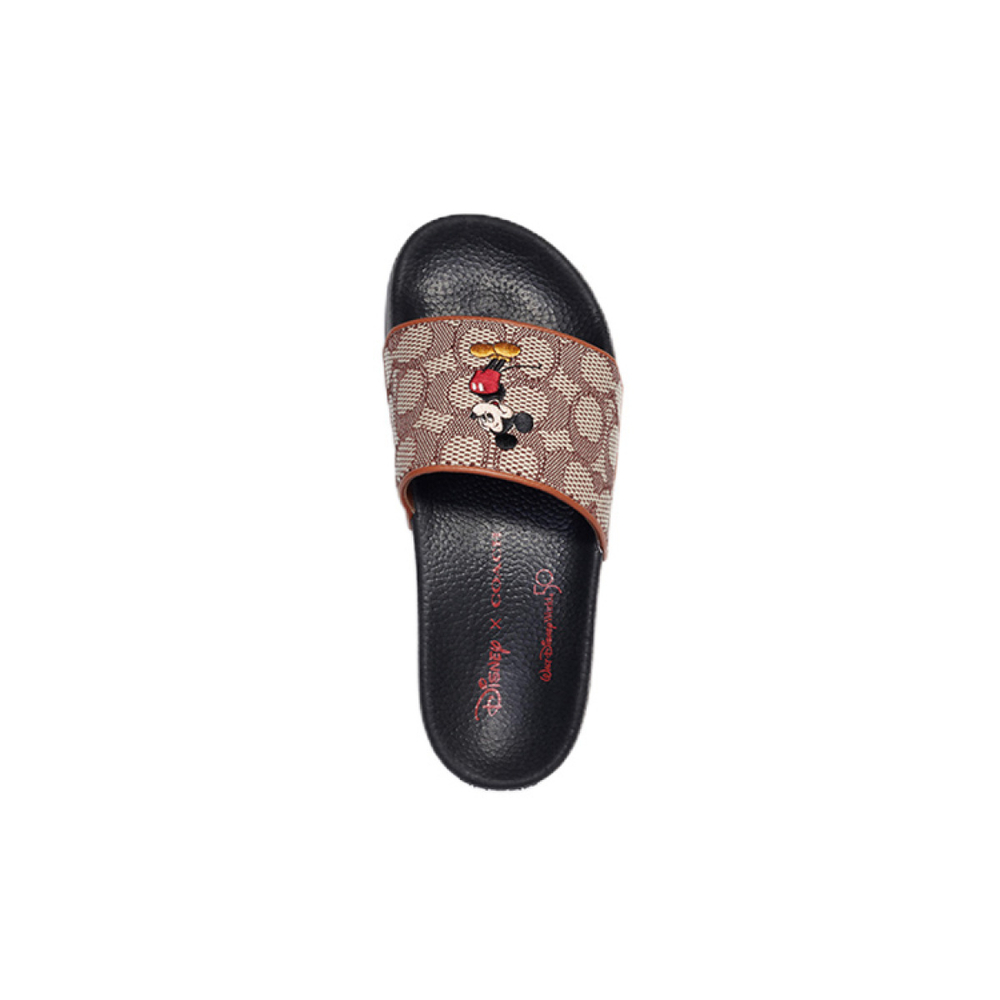 Disney/ x COACH