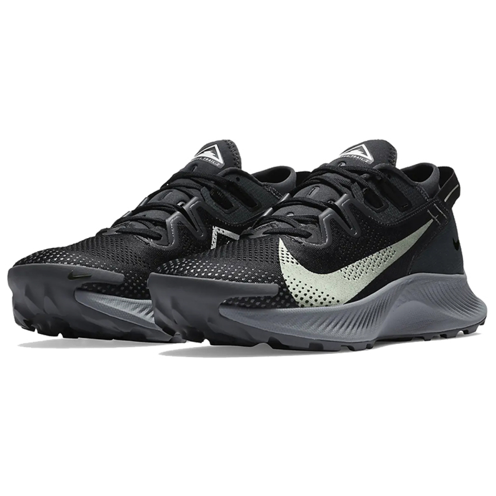 Nike Pegasus Trail 2