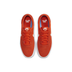 Nike SB Chron SLR