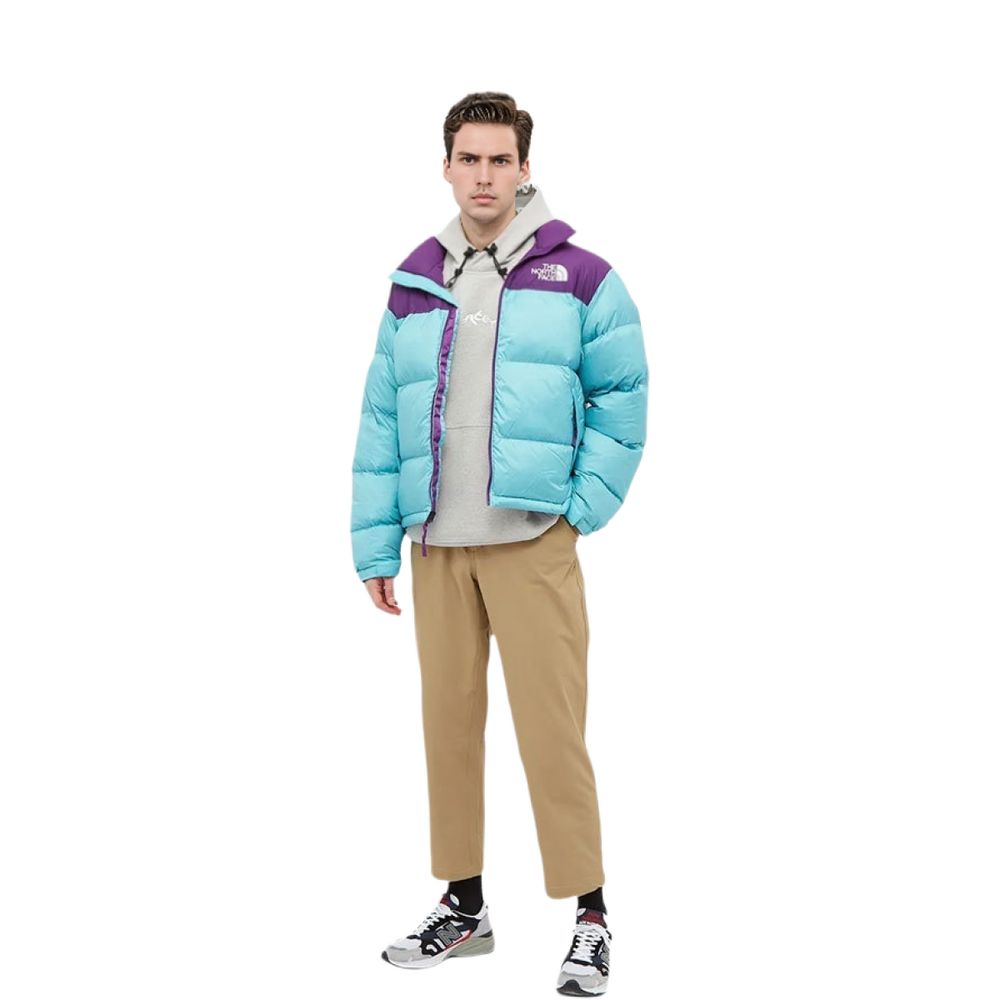THE NORTH FACE 1996 Retro Nuptse 700