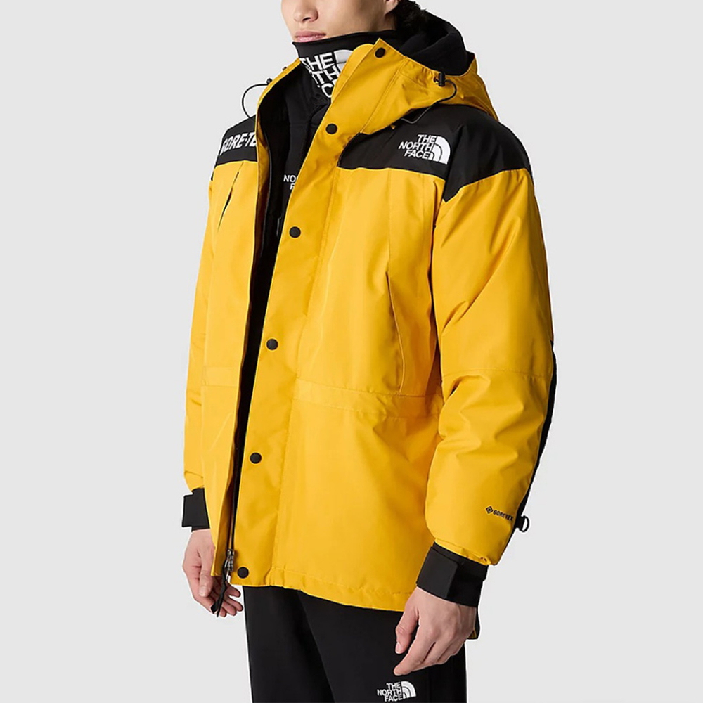/THE NORTH FACE GTX mountain jacket