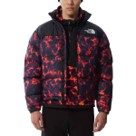 THE NORTH FACE 1996 Retro nuptse 700