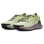 Nike Pegasus Trail 3 GTX